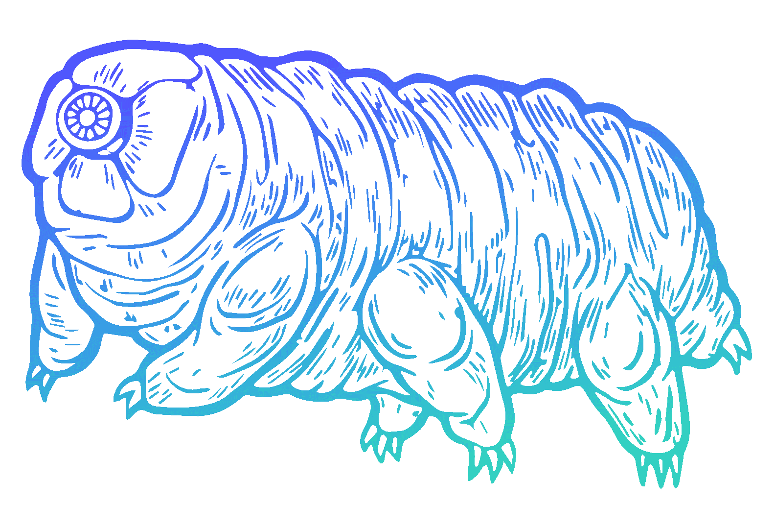 An image of the ZeroTier Tardigrade mascot. Stylized but accurate line drawing of a microscopic creature with 6 legs a resilient microorganism known for its ability to survive in extreme conditions including outer space